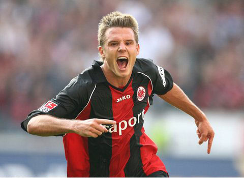 这一惊人的 这一惊人的